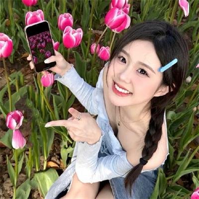 迷蝶
