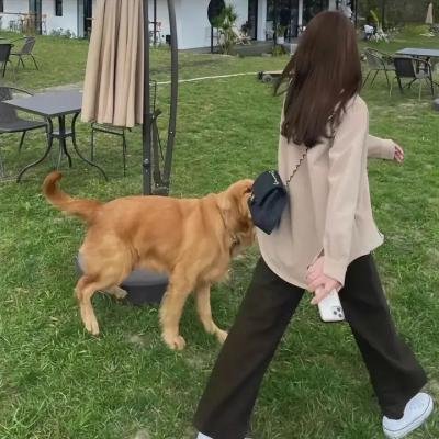 牛之晚春
